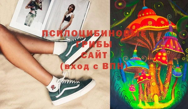 марки lsd Абаза