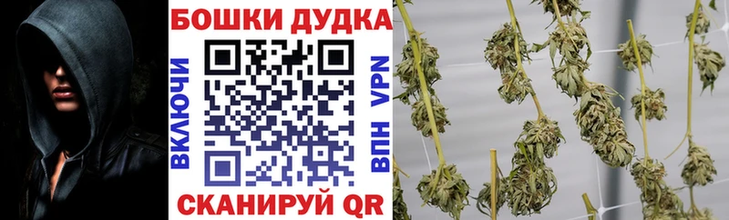 Бошки Шишки VHQ  Абаза 